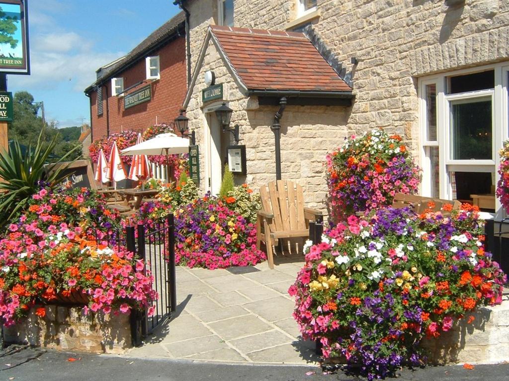 The Walnut Tree Inn Mere Mere  Esterno foto